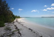 abaco real estate